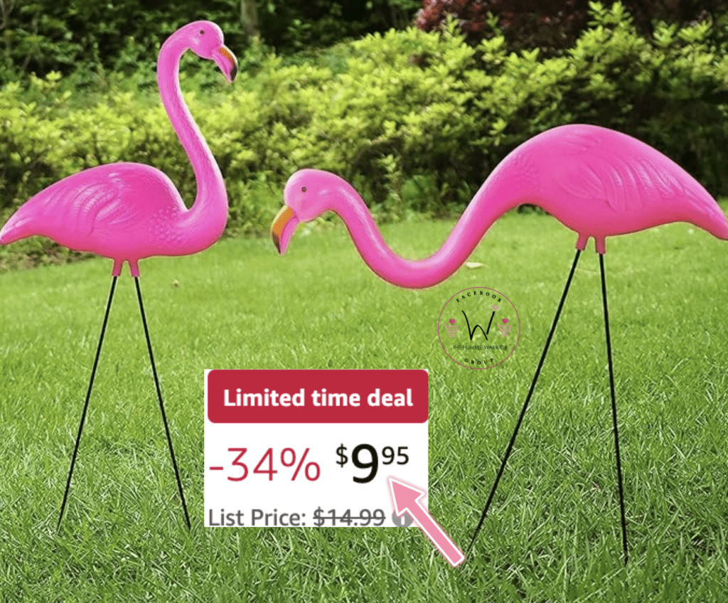 2-pack of Garden Flamingos!